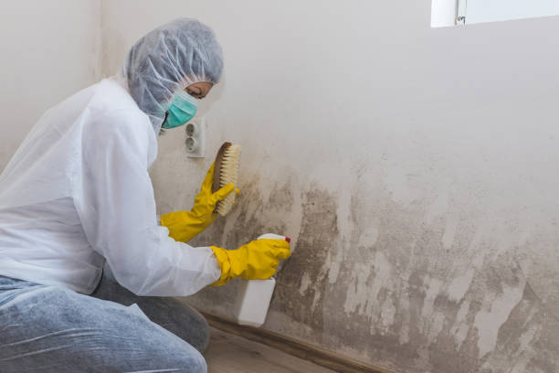 Best Emergency Mold Removal  in Combined Locks, WI