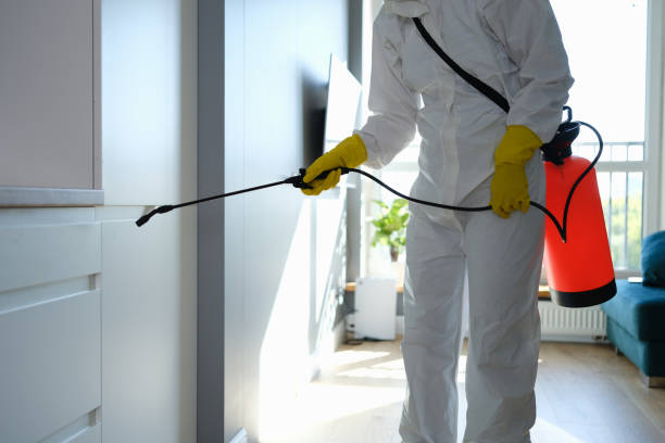 Best Black Mold Removal  in Combined Locks, WI