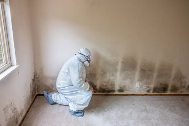 Best Residential Mold Removal  in Combined Locks, WI